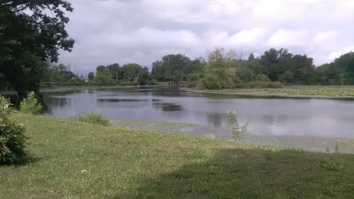 Evergreen Village 9