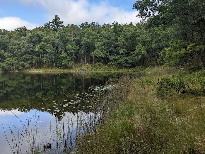 Bass Lake Campsite, Owasippe Scout Reservation 1