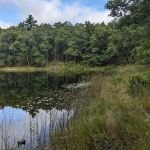 Bass Lake Campsite, Owasippe Scout Reservation