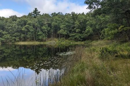 Bass Lake Campsite, Owasippe Scout Reservation