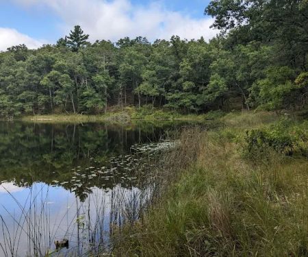 Bass Lake Campsite, Owasippe Scout Reservation