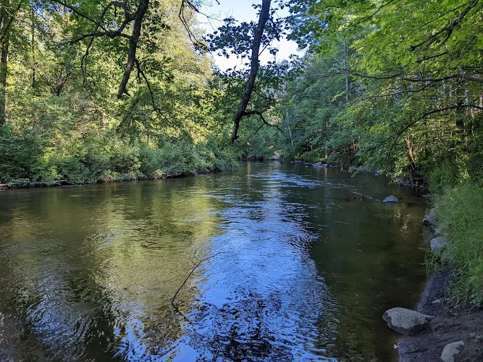 Pines Point Campground 1