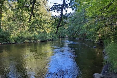 Pines Point Campground