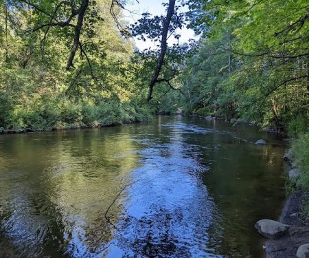 Pines Point Campground