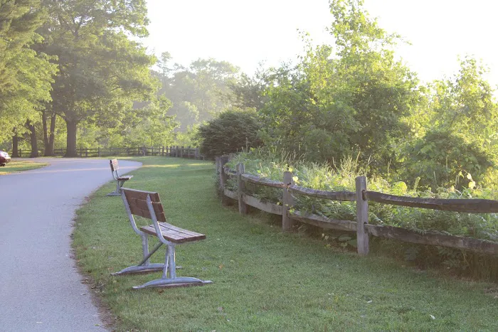 Sandy Beach County Park 10