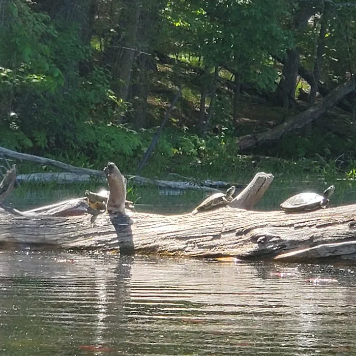 Hiawatha Beach Campsite, Owasippe Scout Reservation 4