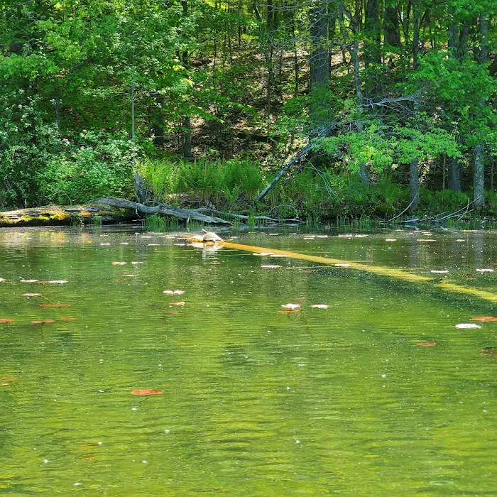Hiawatha Beach Campsite, Owasippe Scout Reservation 7