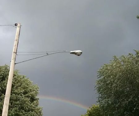 Williams Mobile Home Park