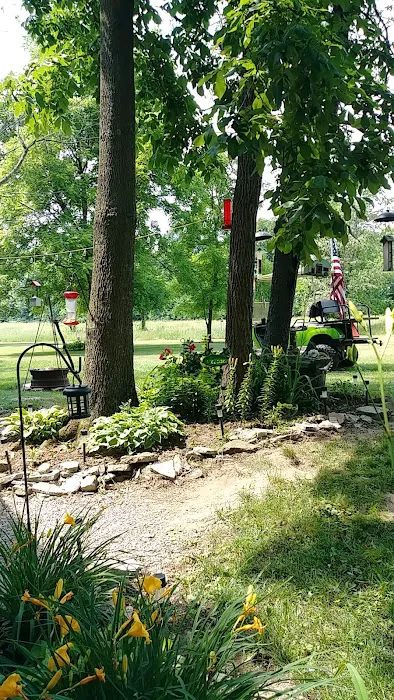 Back 40 Campground 7