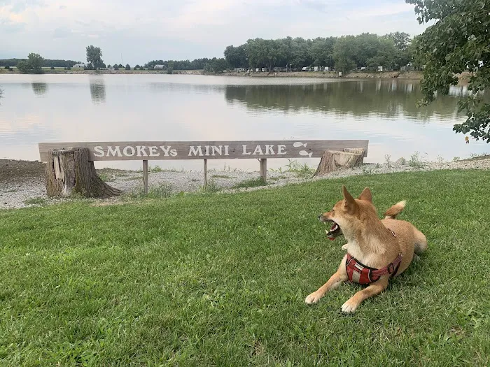 Smokey's Mini Lake Campground 5
