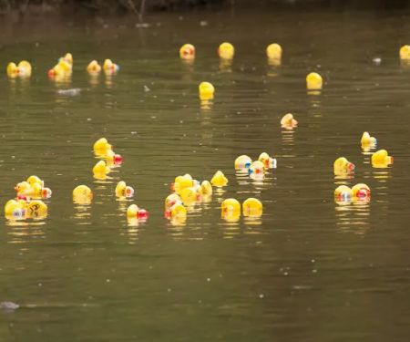 Highland Trailer Park