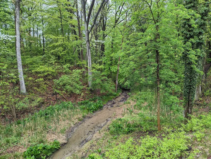 Camp Miakonda, Scouting America - Erie Shores Council 6