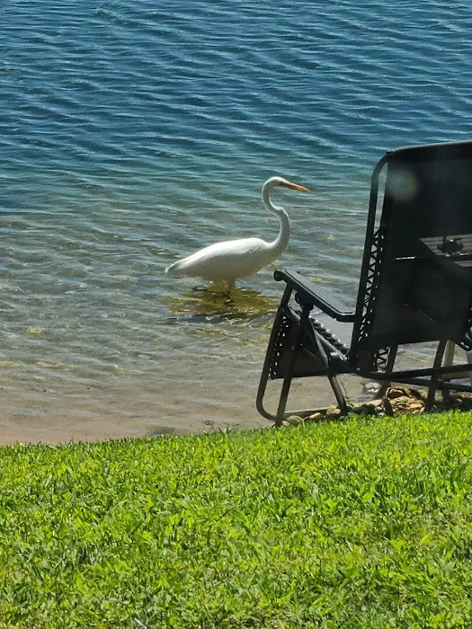 Eagle's Cove RV Resort 9