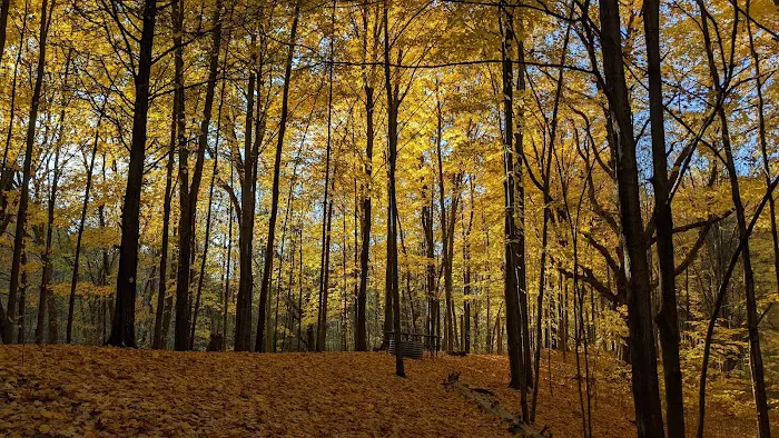 Blind Lake Campground 2