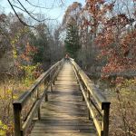 Blind Lake Campground