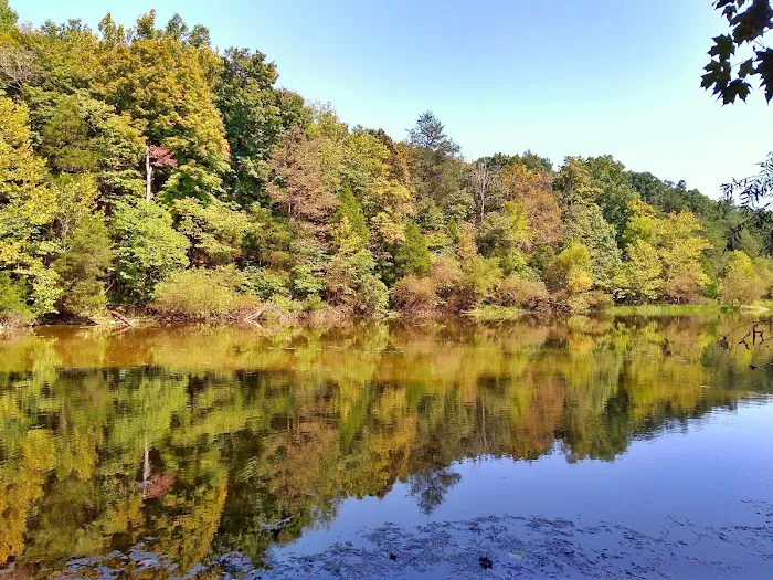 Lakeview Springs 2