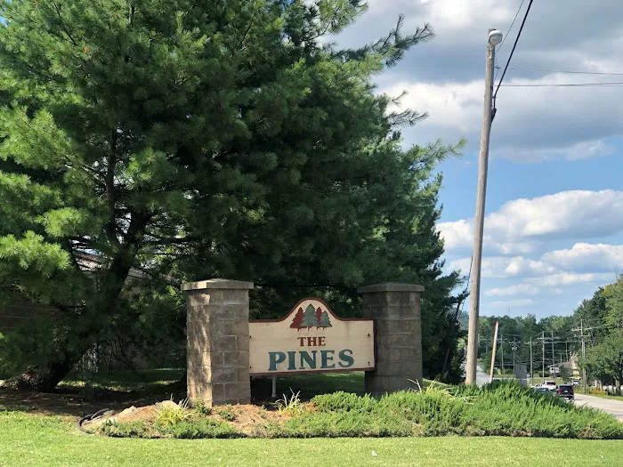The Pines 6