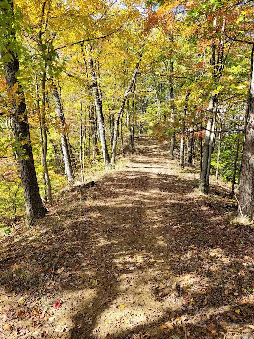 Deam Lake Family Campground 4