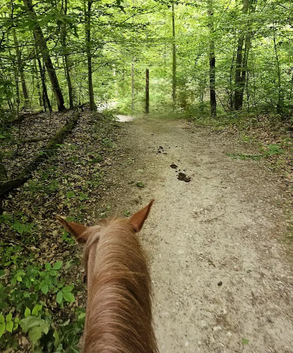 Deam Lake Horse Campground 2