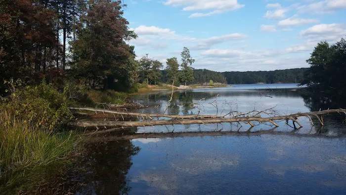 Deam Lake Horse Campground 3