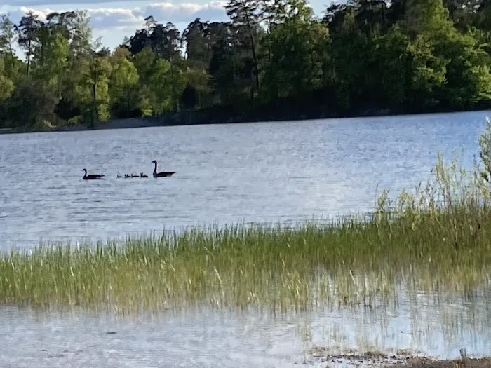 Deam Lake Horse Campground 5
