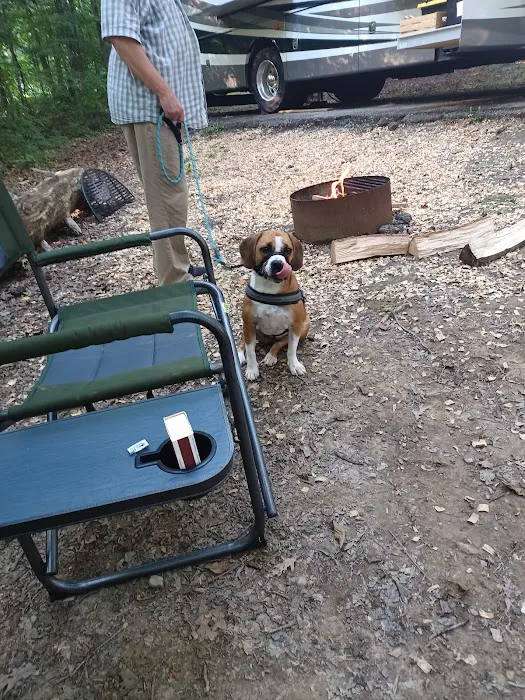 Deam Lake Horse Campground 9