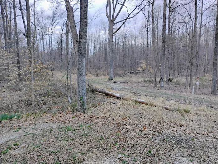 Clark State Forest Horse Campground 2
