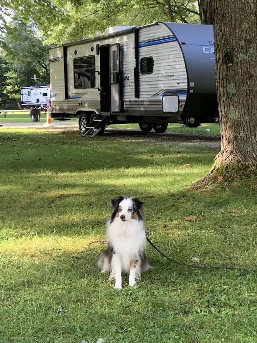 Ashmoor Campground 9