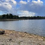 Laurel Branch Campground