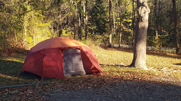 Laurel Branch Campground 8