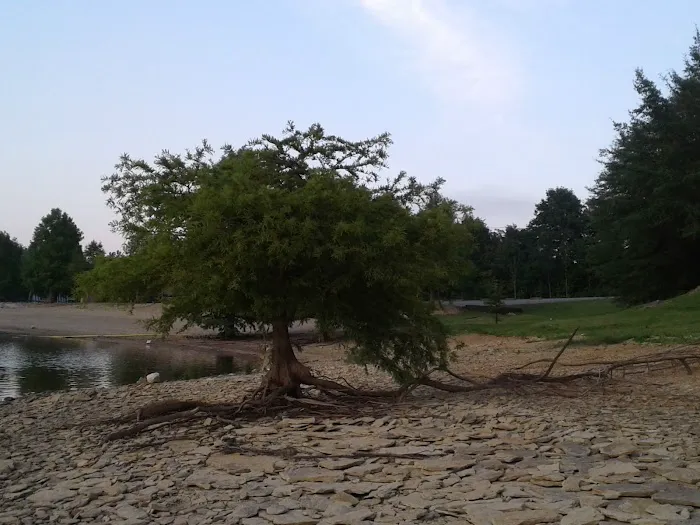 North Fork Campground 1