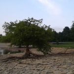 North Fork Campground
