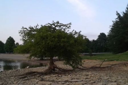 North Fork Campground