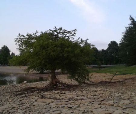 North Fork Campground