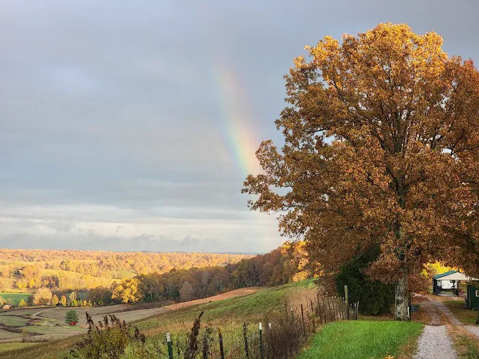 Twin Island Trail LLC 3