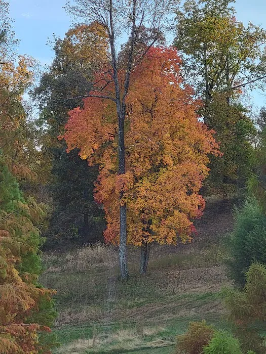 Twin Island Trail LLC 7
