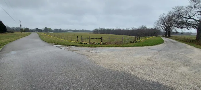Country Roads RV Park 5