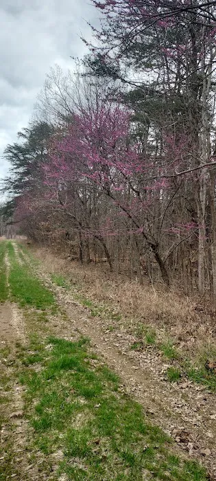 Country Roads RV Park 10