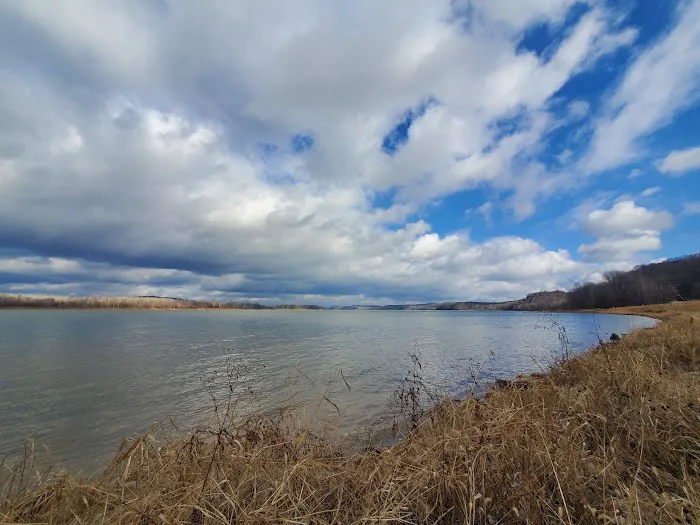 Riverview Park Campground 2