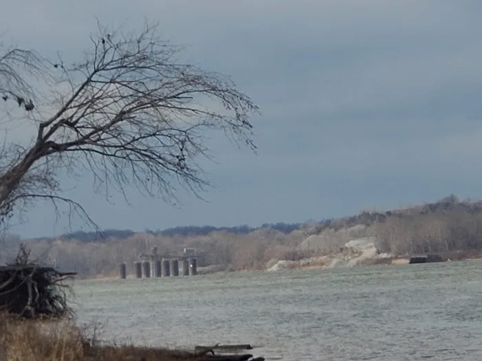 Riverview Park Campground 8