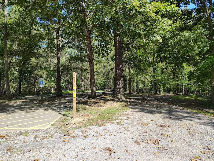 Campground 1