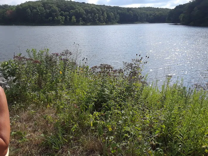 Cuivre River State Park Campground 5