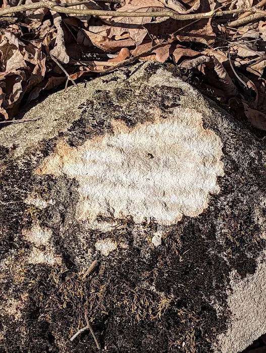 Missouri Bluffs Park 9