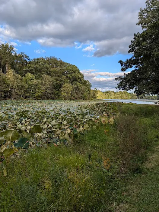 Hardy Lake Wooster Campground 1
