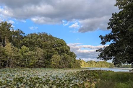 Hardy Lake Wooster Campground