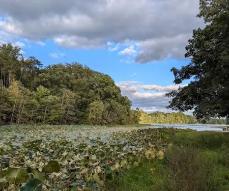 Hardy Lake Wooster Campground