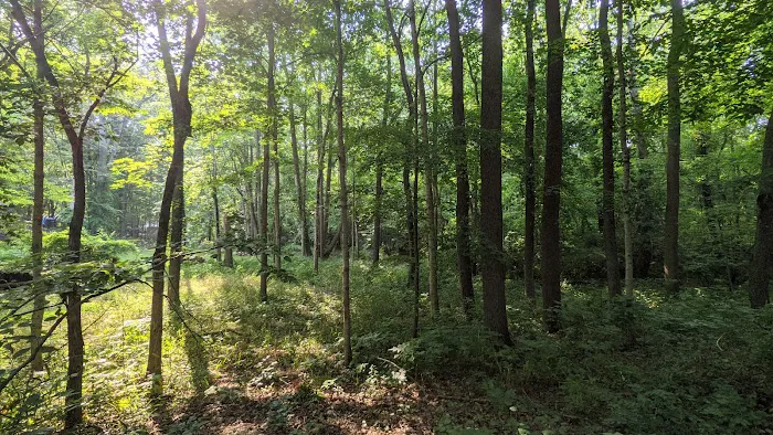 The Lake of the Woods Campground 4