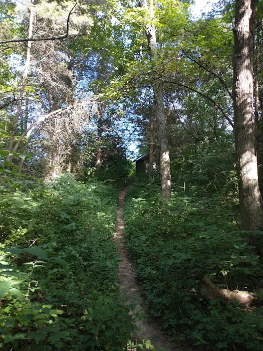 Cedar Ridge Backcountry Campsite 1