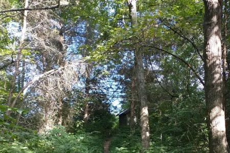 Cedar Ridge Backcountry Campsite