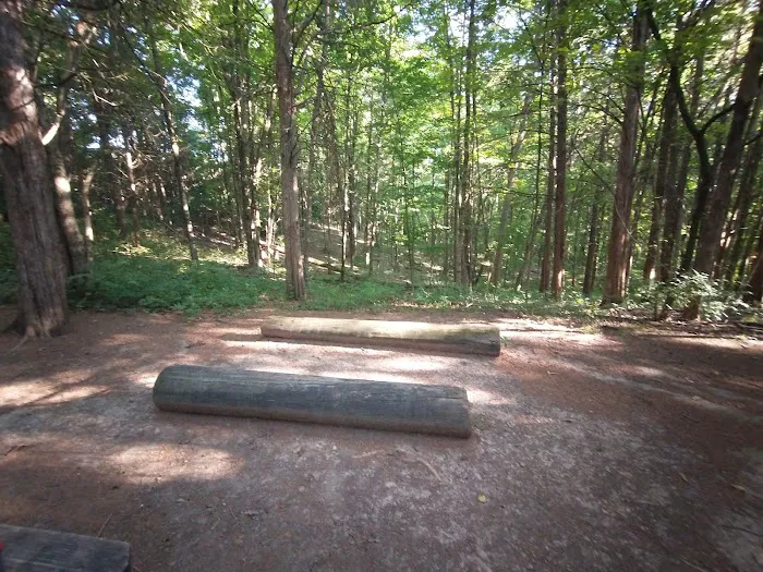 Cedar Ridge Backcountry Campsite 4